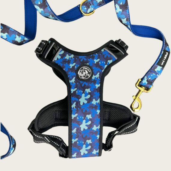 Set Pettorina con maniglia Blue Camo e guinzaglio