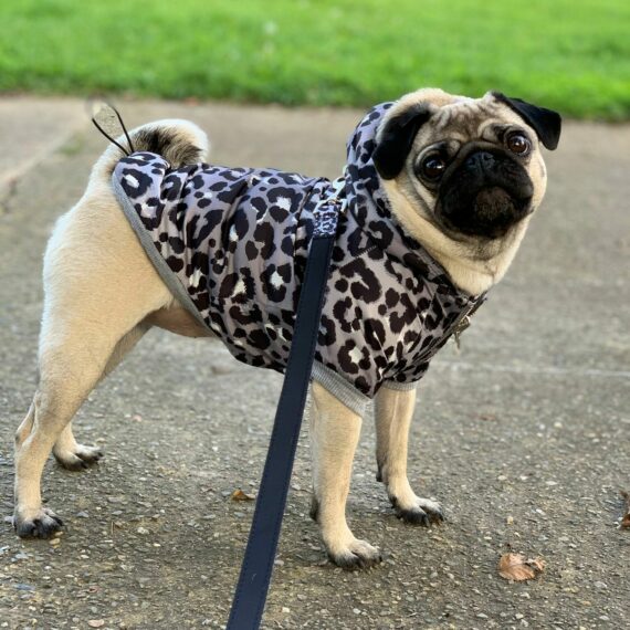 Cappottino Bomber Reversibile Silver Lux Leopard