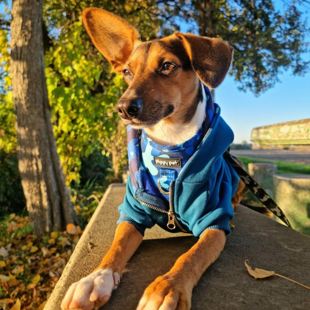 Blue Camo Sweatshirt