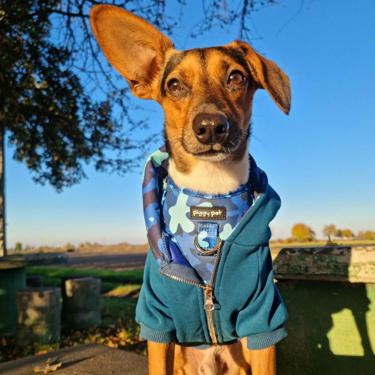 Blue Camo Sweatshirt