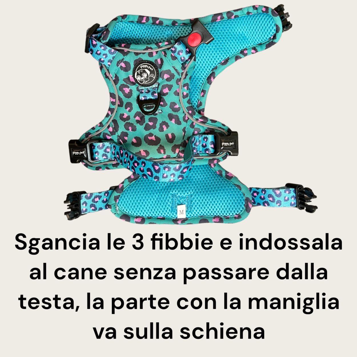 Set Pettorina 3 clip, Guinzaglio e Porta Sacchetti Aqua Leopard