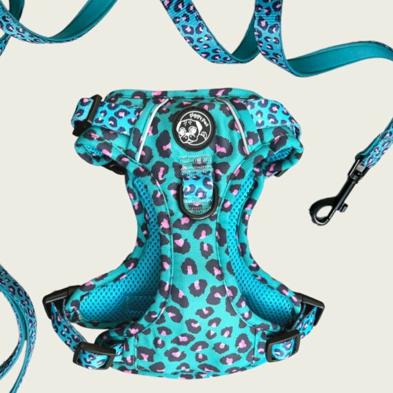 Set Pettorina 3 clip Aqua Leopard
