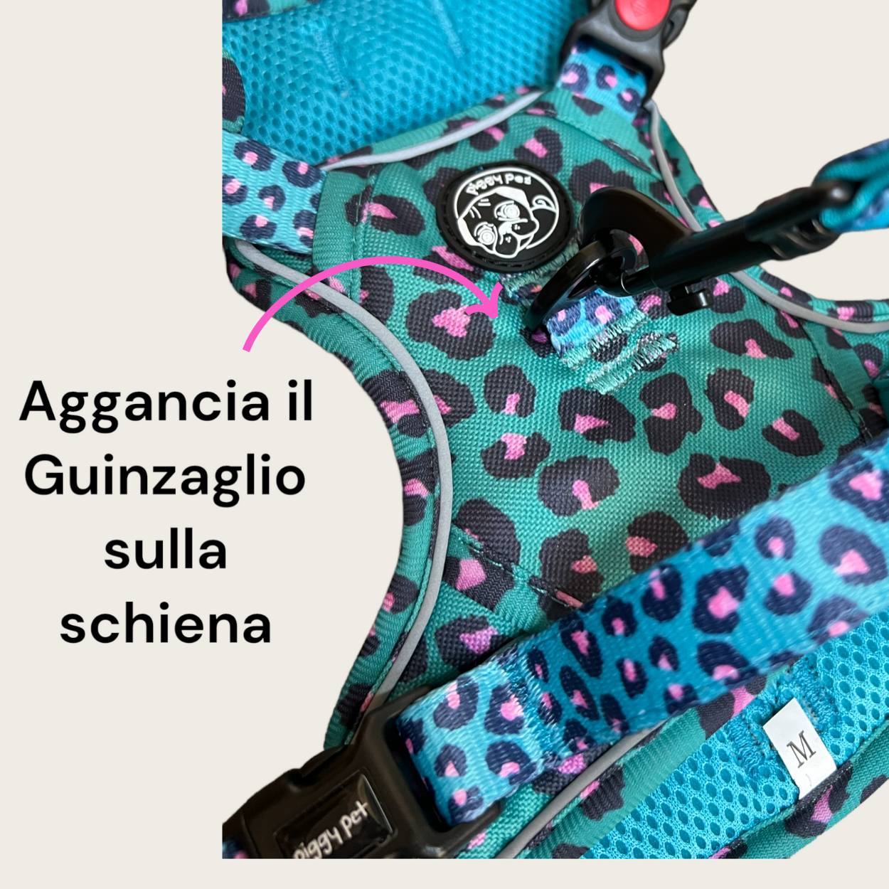 Set Pettorina 3 clip, Guinzaglio e Porta Sacchetti Aqua Leopard