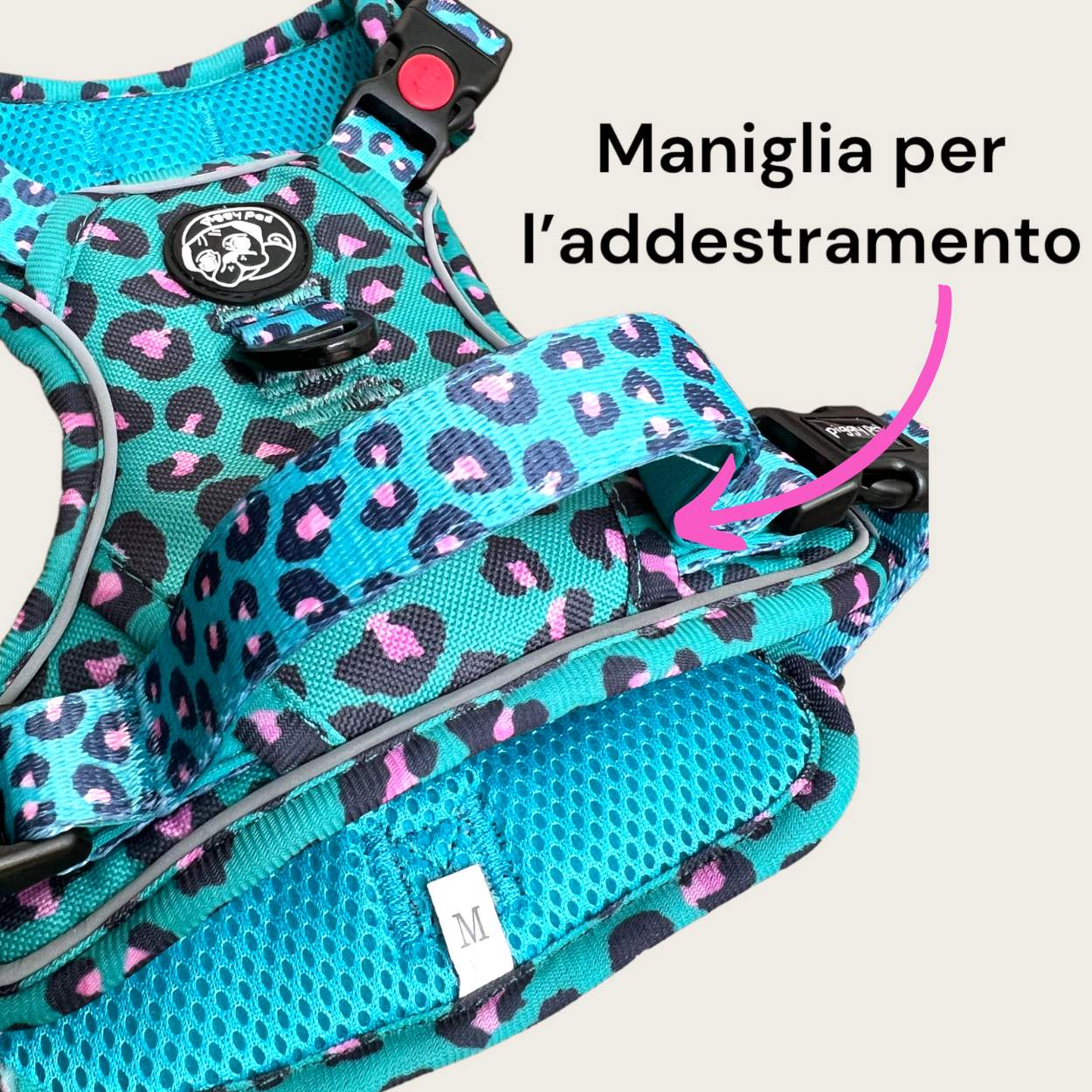 Set Pettorina 3 clip, Guinzaglio e Porta Sacchetti Aqua Leopard