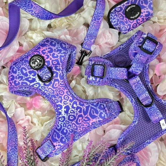 Piggy Pet Outfit - Violet