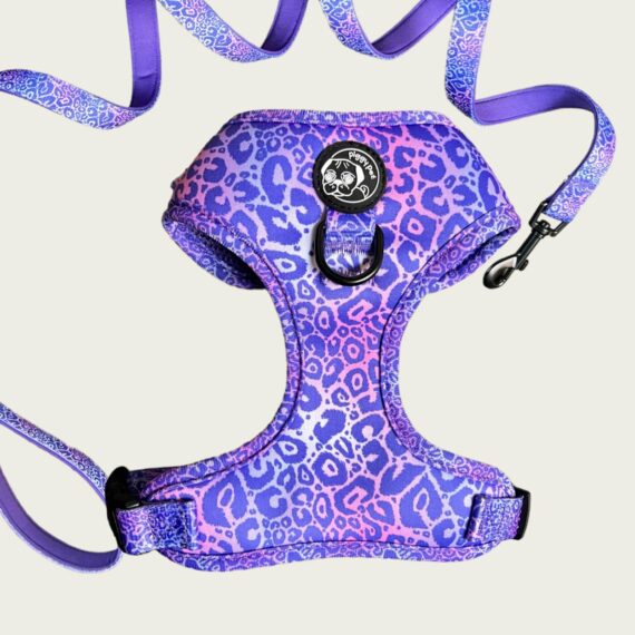 Piggy Pet Outfit - Violet