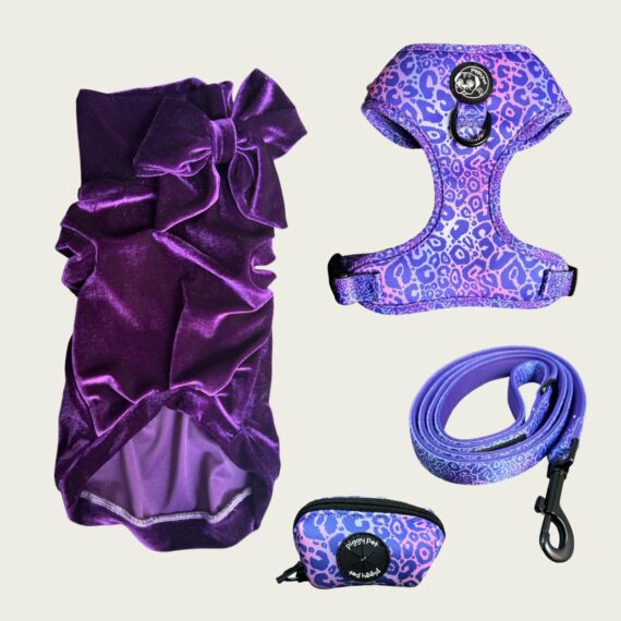 Piggy Pet Outfit - Violet