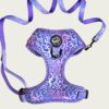 Set Pettorina ad H Regolabile e Guinzaglio Violet Cheetah