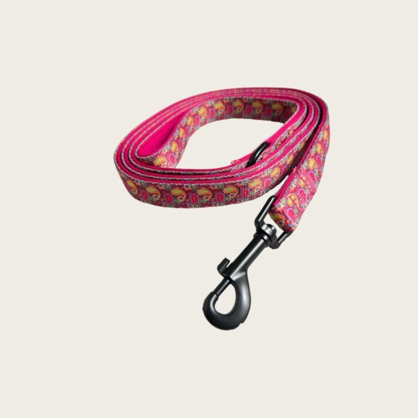 Colorful Paisley Leash