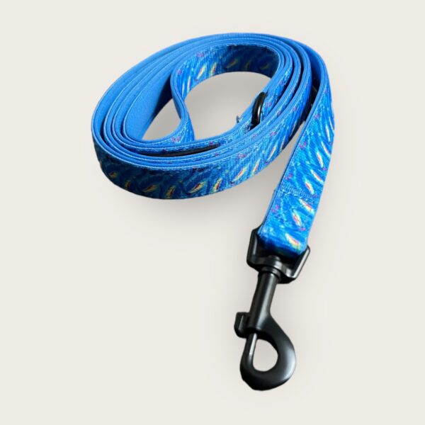 Summertime leash