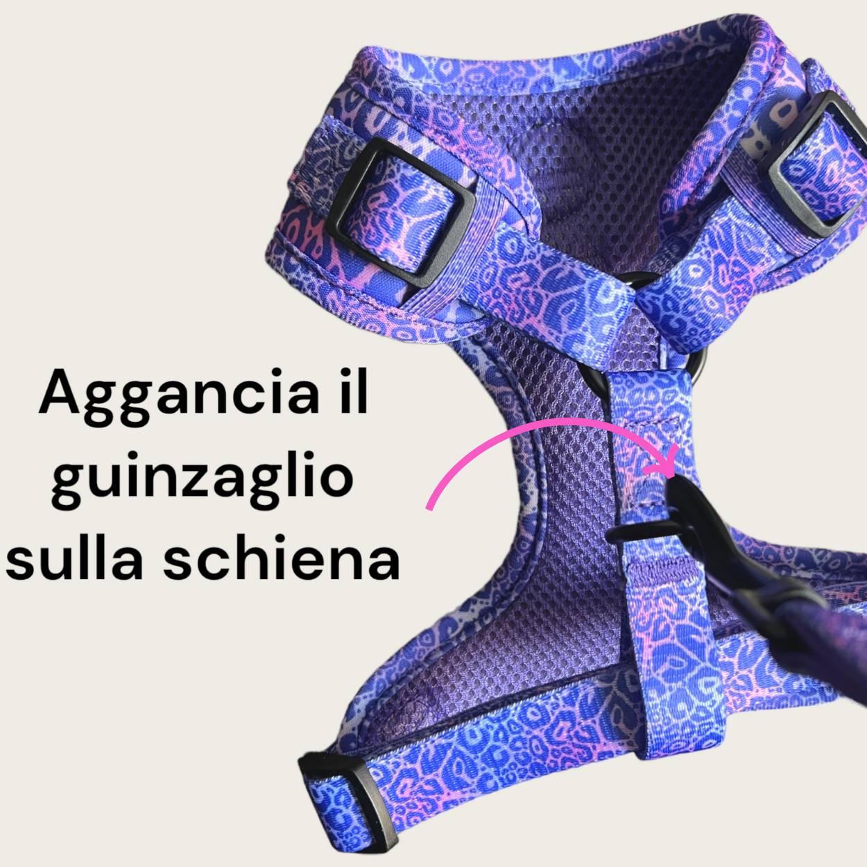 Set Pettorina ad H Regolabile, Guinzaglio e Porta Sacchetti Violet Cheetah