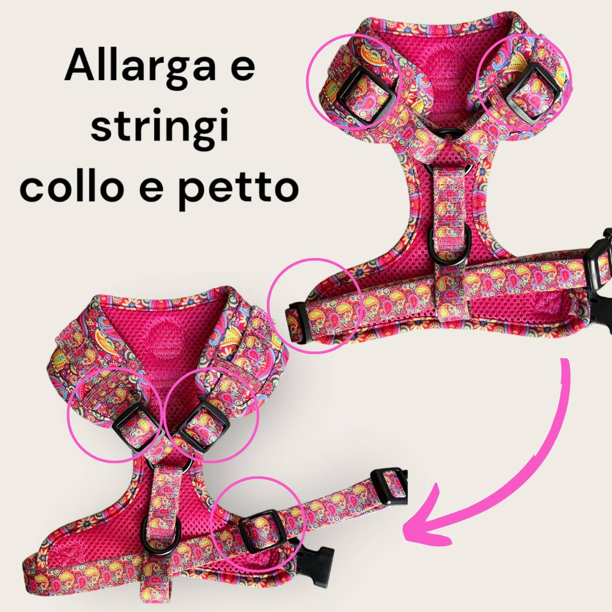 Set Pettorina ad H Regolabile, Guinzaglio e Porta Sacchetti Colorful Paisley