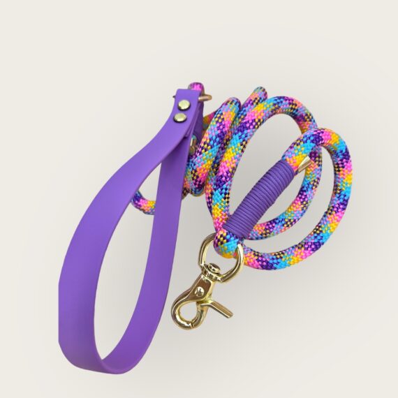 Guinzaglio in corda Rainbow