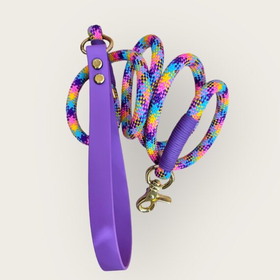 Guinzaglio in corda Rainbow