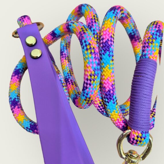 Guinzaglio in corda Rainbow