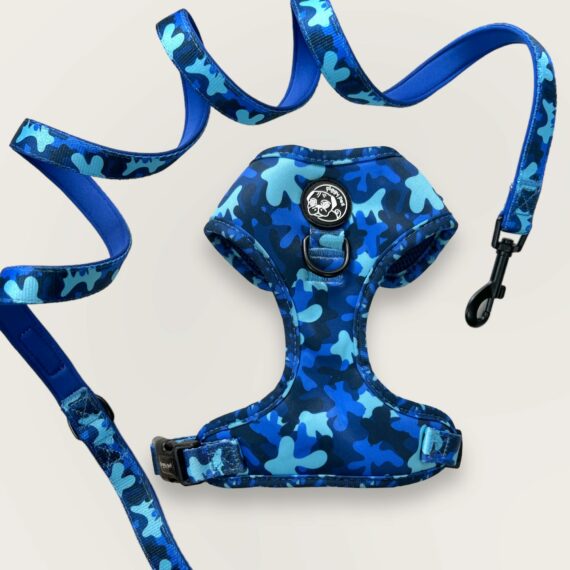Set Pettorina ad H Regolabile e Guinzaglio Blue Camo