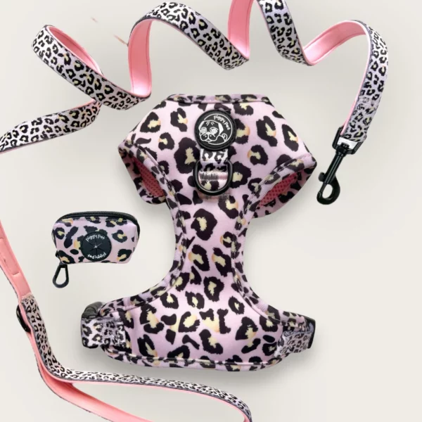 Lux Leopard Adjustable H-Harness Set, Leash and Bag Holder