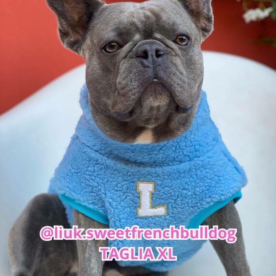 Dolcevita Blue Teddy