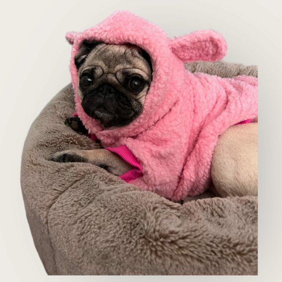 Teddy Pink