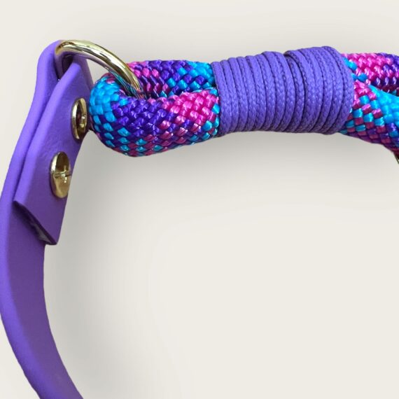 Collare Fluo - Violet