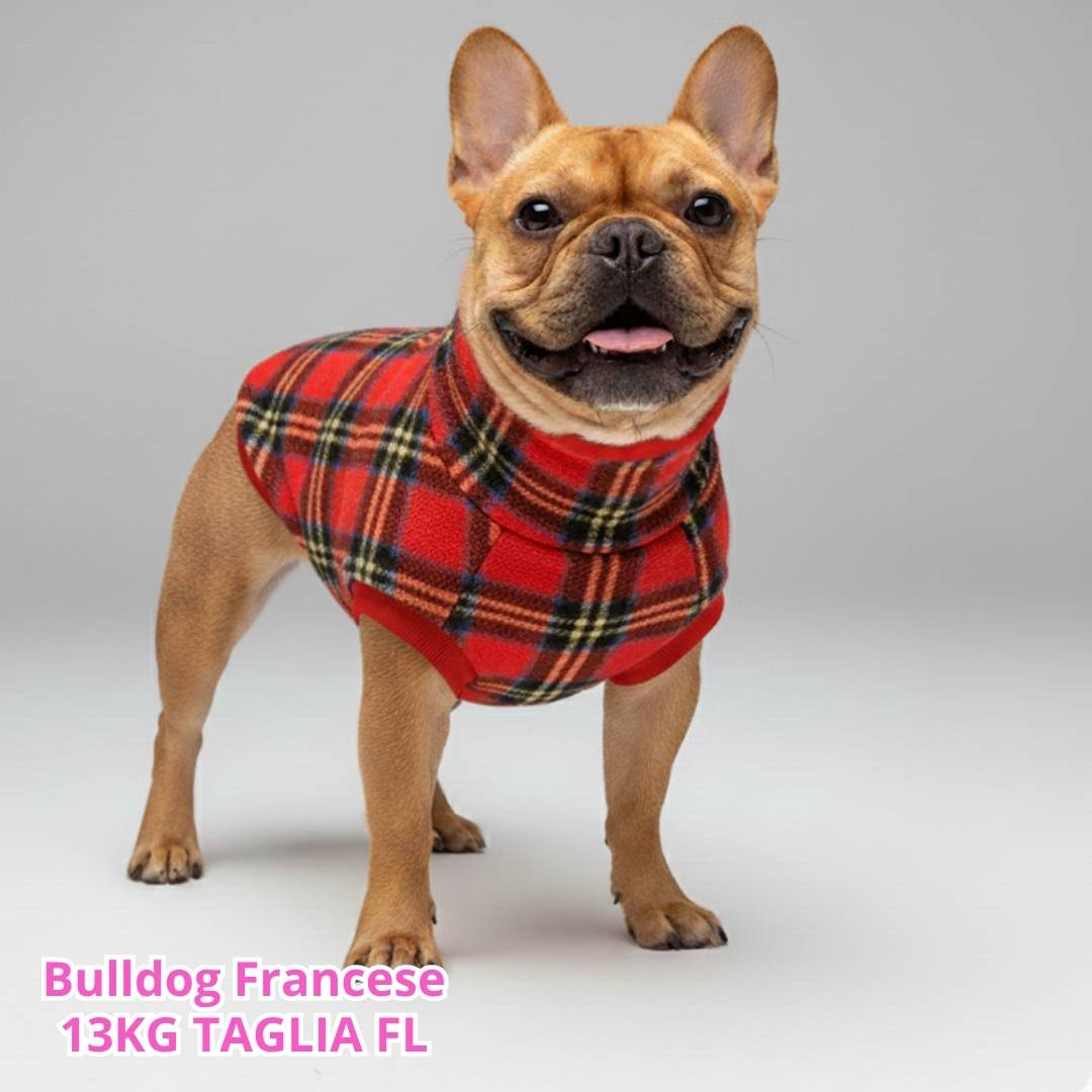 Pile Pelliccia Tartan