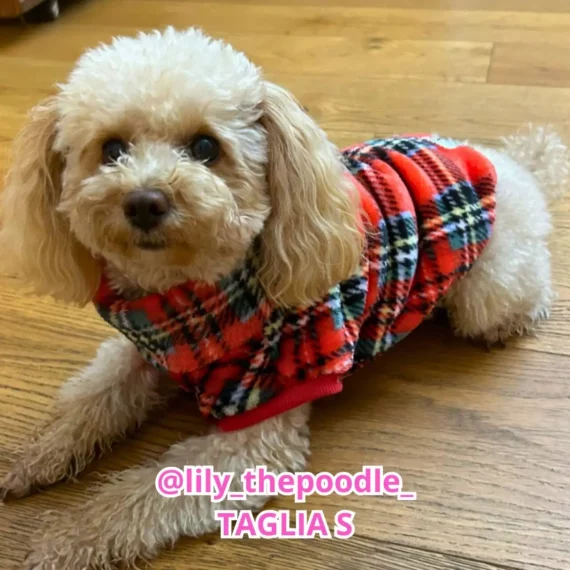 Pile Tartan