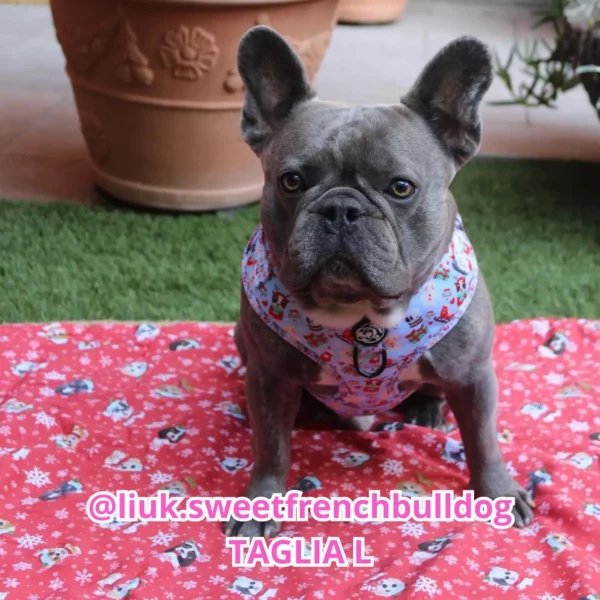 Pettorina ad H Morbida Woofy Christmas Pettorina ad H Morbida Woofy Christmas