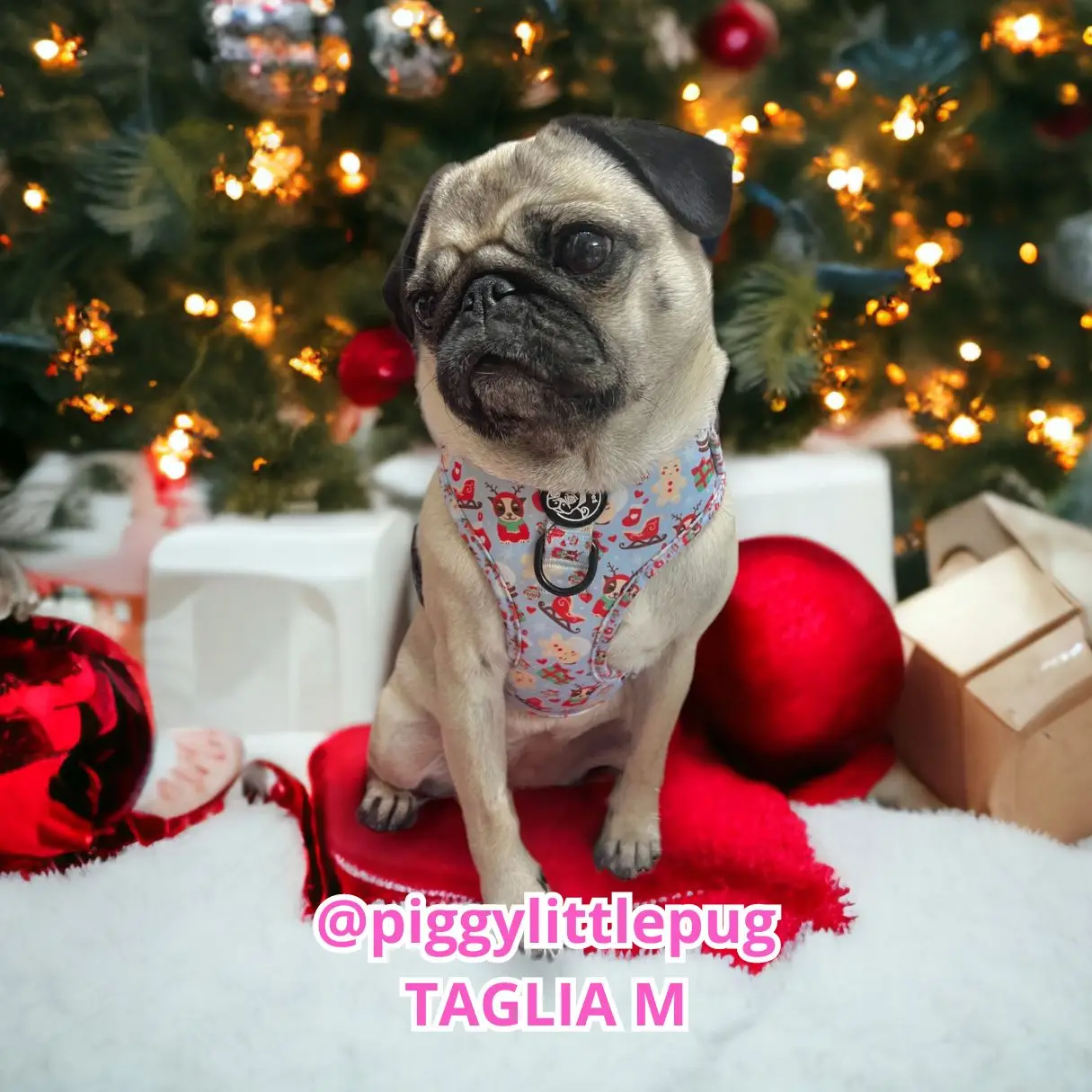 Pettorina ad H Regolabile Woofy Christmas