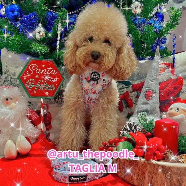 PETTORINA NATALE PER CANE