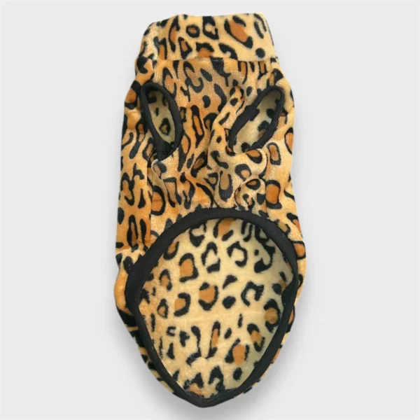 leopard
