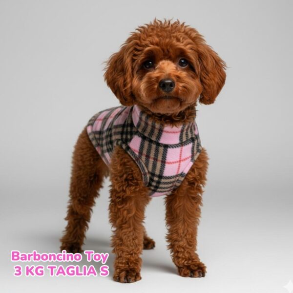 abbigliamento per cani – 2026-02-23T210657.264