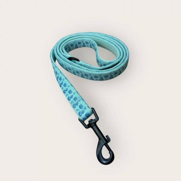 Jurassic Dream Leash