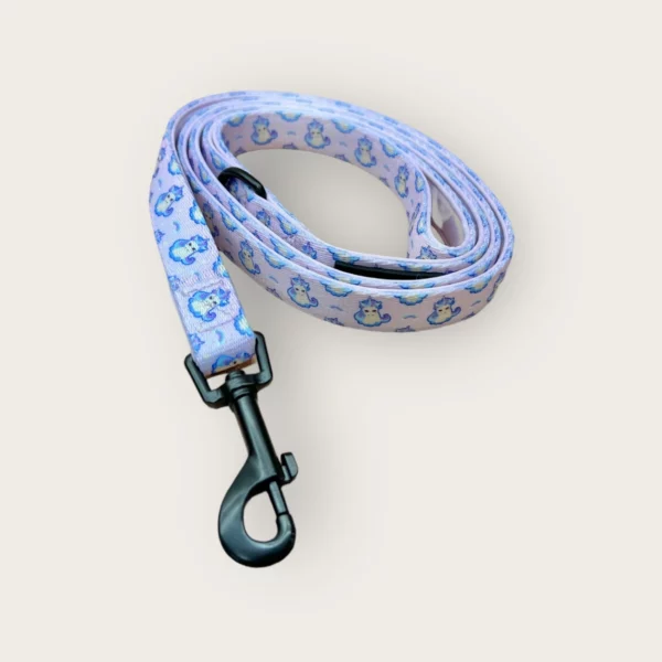 Unicorn Dream Leash