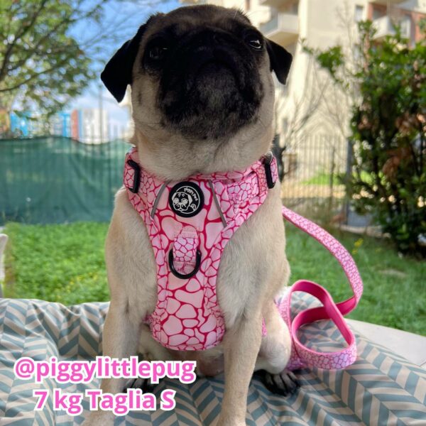 Set Pettorina 3 clip, Guinzaglio e Porta Sacchetti Rosy Marble Set Pettorina 3 clip, Guinzaglio e Porta Sacchetti Rosy Marble