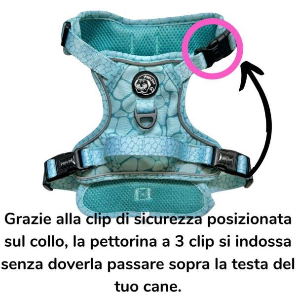 Pettorina 3 clip Aqua Marble Pettorina 3 clip Aqua Marble