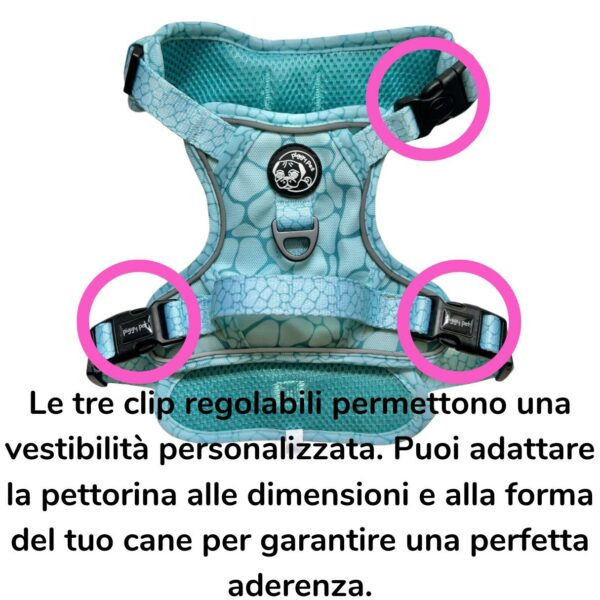 Pettorina 3 clip Aqua Marble Pettorina 3 clip Aqua Marble