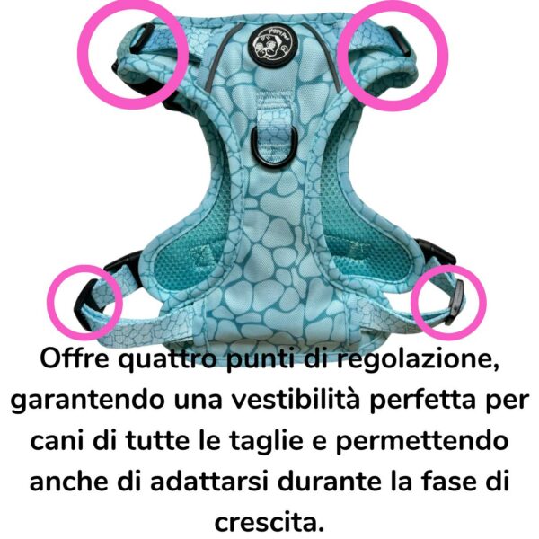 Pettorina 3 clip Aqua Marble Pettorina 3 clip Aqua Marble