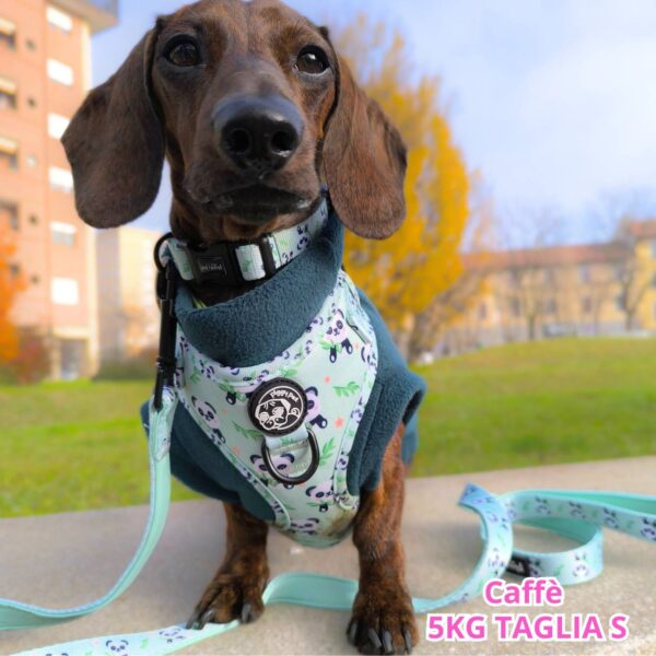 Set Pettorina ad H Regolabile, Guinzaglio e Porta Sacchetti Blue Butterfly