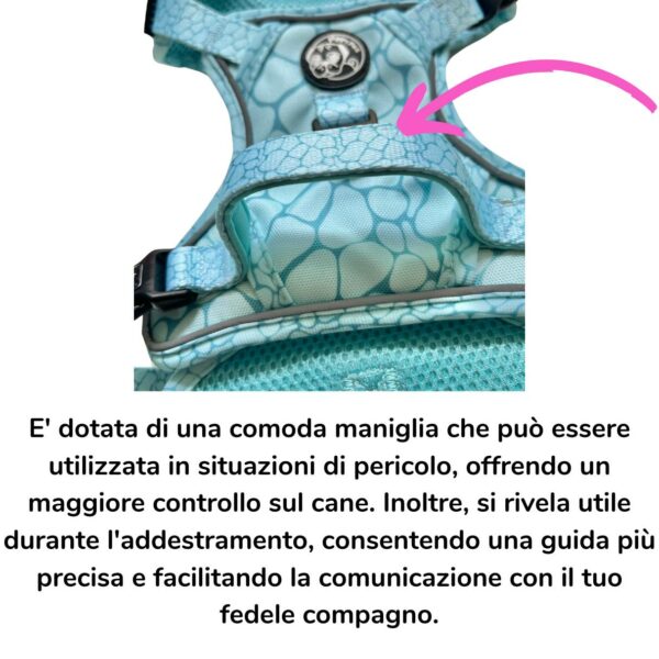 Pettorina 3 clip Aqua Marble Pettorina 3 clip Aqua Marble