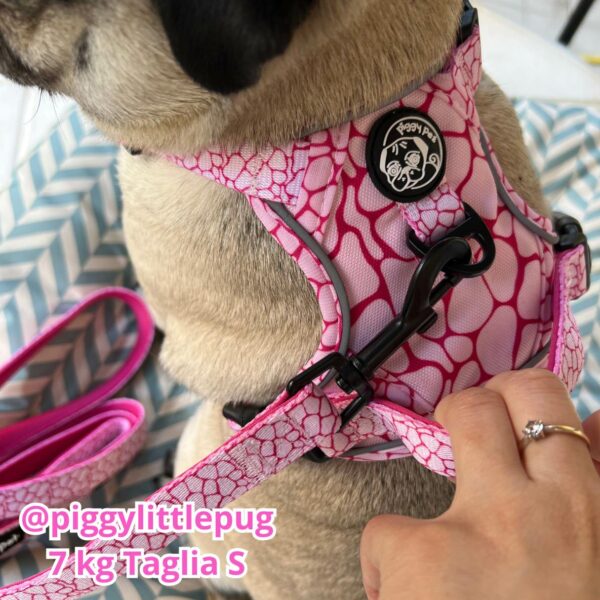 Set Pettorina 3 clip, Guinzaglio e Porta Sacchetti Rosy Marble Set Pettorina 3 clip, Guinzaglio e Porta Sacchetti Rosy Marble