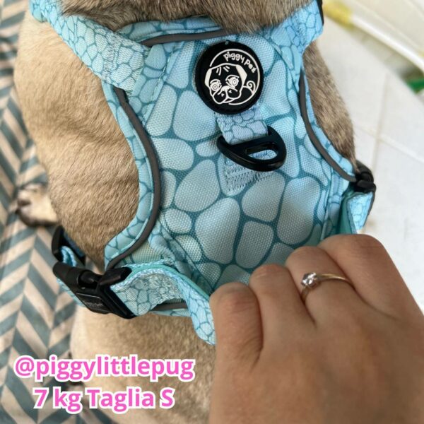 Set Pettorina 3 clip, Guinzaglio e Porta Sacchetti Aqua Marble Set Pettorina 3 clip, Guinzaglio e Porta Sacchetti Aqua Marble