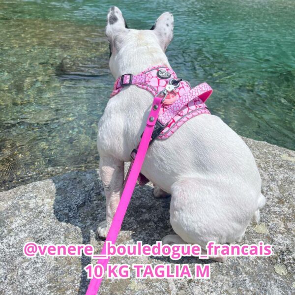 Set Pettorina 3 clip, Guinzaglio e Porta Sacchetti Rosy Marble Set Pettorina 3 clip, Guinzaglio e Porta Sacchetti Rosy Marble