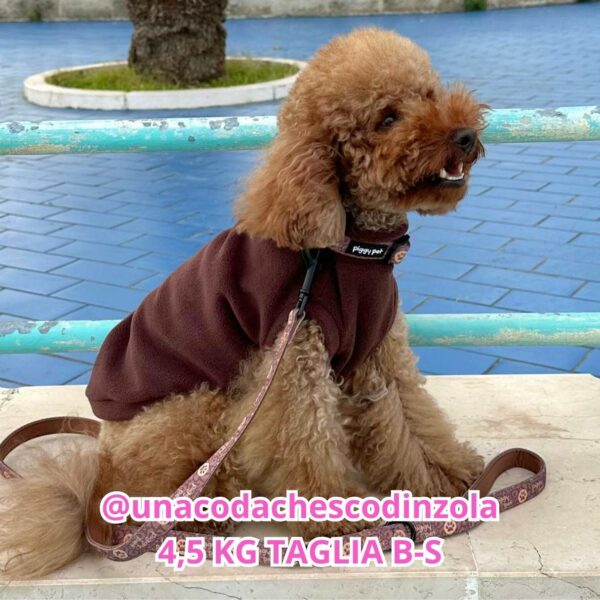 Pile Marrone Pile Marrone