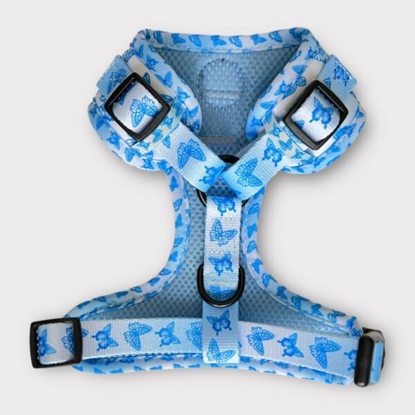 Pettorina ad H Morbida Blue Butterfly L