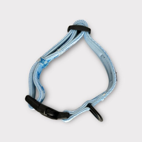 Collare Blue Butterfly Collare Blue Butterfly