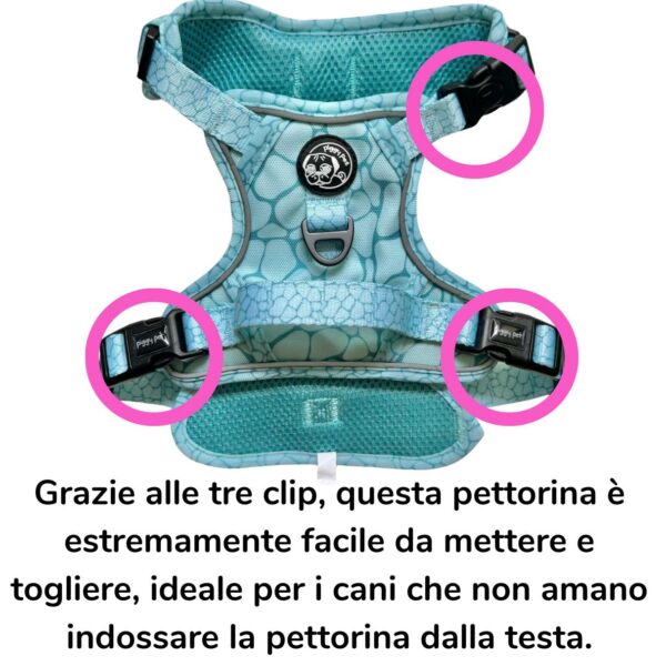 Set Pettorina 3 clip, Guinzaglio e Porta Sacchetti Aqua Marble Set Pettorina 3 clip, Guinzaglio e Porta Sacchetti Aqua Marble