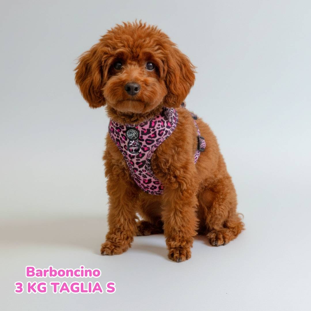 Pettorina ad H Regolabile Pink Leopard