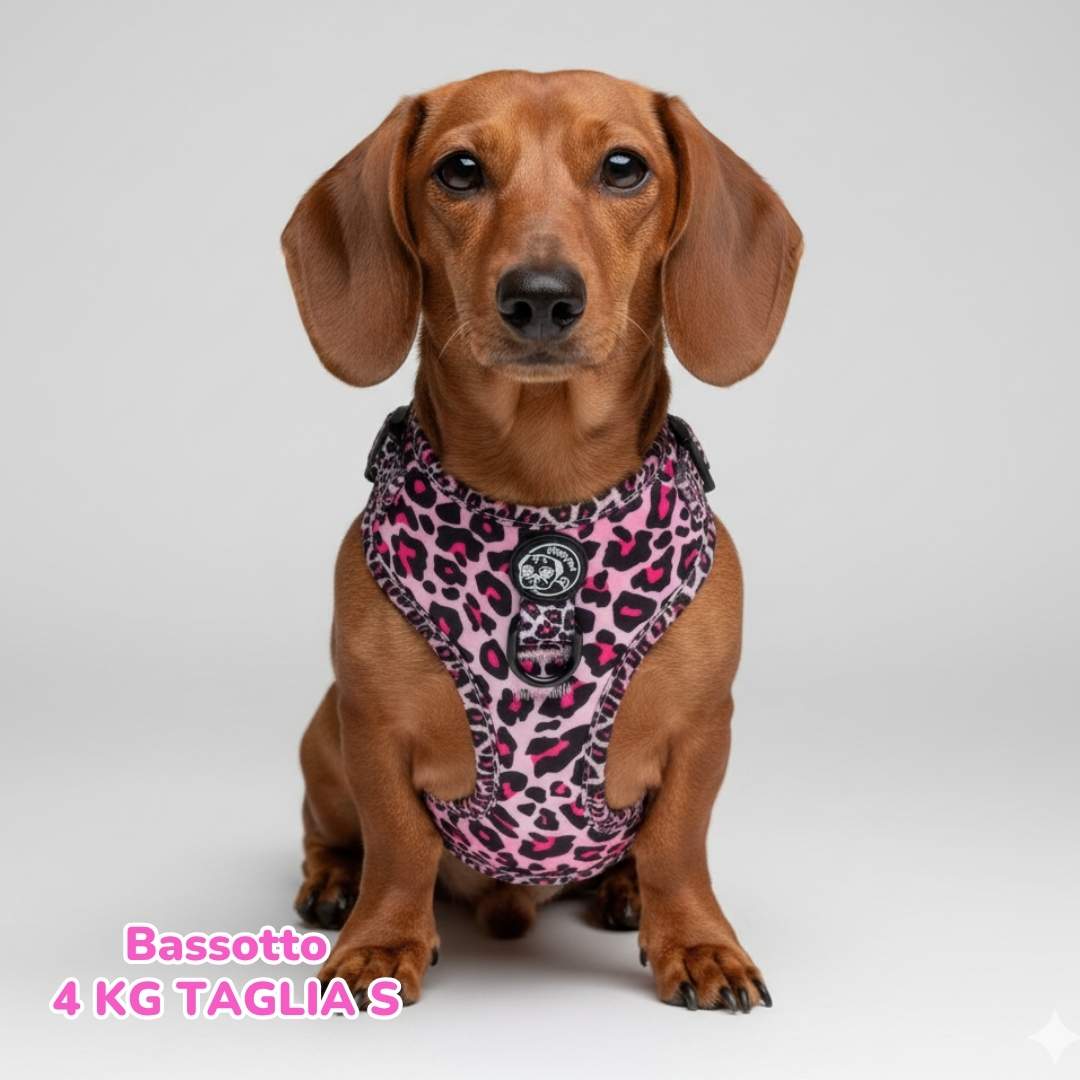 Pettorina ad H Regolabile Pink Leopard