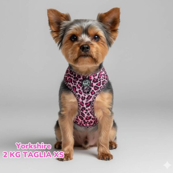 Pettorina ad H Morbida Pink Leopard