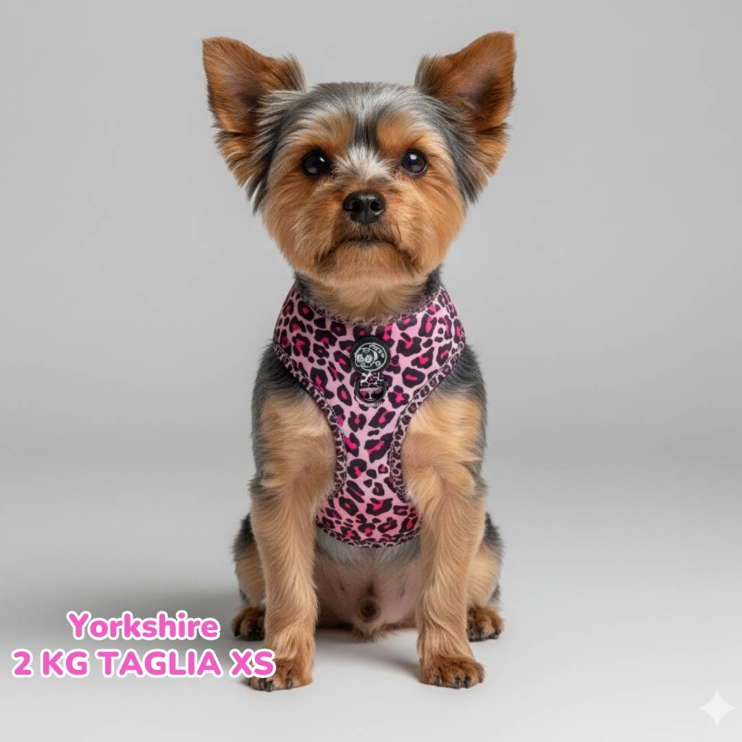 Pettorina ad H Regolabile Pink Leopard